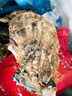耀合莊【送貨上門】精品生蠔鮮活5斤特大海蠣子牡蠣新鮮活生蠔 超大生蠔6-8兩-帶箱5斤裝5-7只+三件套+醬 曬單實(shí)拍圖