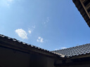 京東京造 總裁Pro超大傘 雨傘大號男折疊加固抗風(fēng)加大木柄晴雨傘27寸125cm 曬單實(shí)拍圖