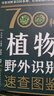700種植物野外識別速查圖鑒（精裝全彩 口袋工具書(shū)） 曬單實(shí)拍圖