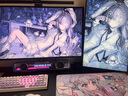 華碩（ASUS）ROG絕神 OLED 26.5英寸顯示屏2K 280Hz顯示器電競G-sync 0.03ms響應(yīng)HDR400真10Bit HDMI2.1 XG27ACDMS 2K280Hz OLED 曬單實(shí)拍圖