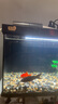 獨寵你森森同款超白魚缸小型免換水生態(tài)魚缸一體缸自循環(huán)自動喂食LE480B 曬單實拍圖
