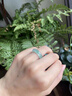 天然非洲翠獨(dú)龍玉冰飄花戒指男女戒圈素圈情侶正品指環(huán)高端戒指 內(nèi)徑16mm 曬單實(shí)拍圖