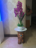 兆族 新中式仿真花蝴蝶蘭仿真花假花客廳家居擺件室內(nèi)裝飾花餐桌擺設(shè) 3支紫紅色蝴蝶蘭+陶瓷花盆 曬單實拍圖