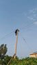 樂哲寵物剃毛器貓咪狗狗推子電推剪毛動物電動理發(fā)泰迪全身推毛器用品 曬單實拍圖