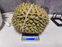 京鮮生 進口金枕頭榴蓮 凈重4-5斤 1個裝  鮮果 生鮮 新鮮水果 曬單實拍圖