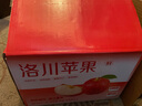 京地達(dá)洛川蘋果水果陜西紅富士節(jié)日送禮凈重8.5斤單果80mm源頭直發(fā)包郵 曬單實(shí)拍圖