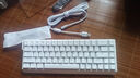 邁從（MCHOSE）Ace 68/60Pro磁軸鍵盤 RT電競游戲客制化機械有線連接全鍵熱插拔雙驅(qū)動無畏契約 Ace 68 電競版 白色 藍(lán)冰磁軸 曬單實拍圖