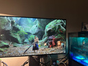 LG 32GX870A 31.5英寸 Ultra OLED 4K電競顯示器 4K240Hz/1K480Hz雙模  內(nèi)置音箱 DP2.1【國家補貼】 曬單實拍圖