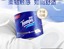 得寶（TEMPO）一博同款 有芯卷紙 無(wú)香4層135g*10卷  可沖散 衛(wèi)生紙  卷筒紙  曬單實(shí)拍圖