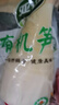 冬筍福建野生新鮮竹筍水煮春筍清水筍尖炒肉火鍋筍尖生鮮蔬菜超市 冬筍250g*1【嘗鮮裝】 曬單實(shí)拍圖