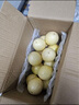 京鮮生 黃金百香果 2斤裝 約13-15粒 單果約70g 酸甜欽蜜 生鮮水果 曬單實拍圖