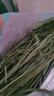 艾妮斯烘干提摩西草段（切過(guò)）袋裝500g 荷蘭豬龍貓豚鼠兔子干草牧草 （切過(guò)）袋裝500g 曬單實(shí)拍圖