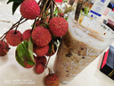 晴碧琳玻璃杯帶吸管高顏值辦公室?guī)w喝水杯子咖啡杯隨行杯夏季冷飲杯 帶蓋玻璃杯+吸管 400ml （字體顏色隨機(jī)） 曬單實拍圖