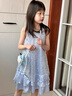 迪士尼【限時清倉】艾莎公主裙女童連衣裙2025夏季新款兒童洋氣無袖禮服 藍色 130 曬單實拍圖
