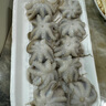 鴻順八爪魚1斤裝 去牙鮮活速凍小章魚 火鍋食材 生鮮凍品 曬單實拍圖