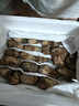 北森南嶼小金縣松茸菌未開(kāi)傘新鮮松茸鮮菌菇冷鏈空運(yùn)多地次日達(dá)團(tuán)購(gòu)送禮 未開(kāi)傘5-6cm凈重 500g 曬單實(shí)拍圖