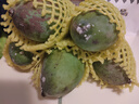 閩域?qū)r四川攀枝花凱特芒果 【閃送】特大芒果青皮金煌貴妃當(dāng)季送禮水果 精選裝｜3斤裝｜試吃裝｜凈重2.8斤 精選裝｜單果300克+｜甜 曬單實(shí)拍圖