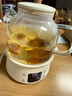 小熊（Bear）全玻璃壺體養(yǎng)生壺恒溫壺 辦公室多功能煮茶壺花茶壺 0金屬養(yǎng)生杯 24h預(yù)約24h保溫 1L YSH-M10H3 曬單實(shí)拍圖