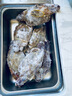 拾鮮生 梭子蟹活凍舟山特大野生螃蟹 新鮮冷凍海蟹海鮮水產(chǎn) 3斤梭子蟹5-7兩/只源頭直發(fā) 曬單實拍圖