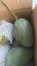 京地達(dá)攀枝花凱特芒果 9斤巨無霸單果600g+肉厚無絲新鮮水果源頭直發(fā) 曬單實(shí)拍圖