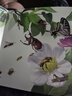 揭秘立體翻翻書：昆蟲 昆蟲界全景科普大揭秘 53個(gè)知識(shí)點(diǎn)3大立體效果展示神秘昆蟲王國 培養(yǎng)兒童孩子科學(xué)探索自然探索興趣開闊眼界 曬單實(shí)拍圖