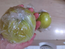 隰縣玉露香梨【順豐】整箱香梨當(dāng)季水果 山西隰縣小西天特產(chǎn)禮盒 孕婦水果 9粒大果（約6斤）80-90mm 曬單實(shí)拍圖