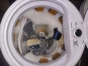 長(cháng)虹洗鞋機半自動(dòng)洗脫一體機家用刷鞋機小型洗鞋子專(zhuān)用機洗衣兩用 9代太空艙白【超強力全筒壁刷+全面洗】強品質(zhì)電機 曬單實(shí)拍圖