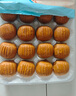廣州酒家利口福 豆沙包750g 20個 早餐半成品 廣式早茶點心 包子食品速食美食 曬單實拍圖