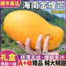 春福樂 海南三亞金煌芒【順豐/送貨上門】現(xiàn)摘大芒果新鮮水果禮盒裝 特大果8斤丨越大越甜丨單果700g+ 陸運一級果【性價比推薦】 曬單實拍圖