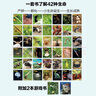 巴巴爸爸經(jīng)典圖畫故事誕生篇（新套裝5冊）六一兒童節(jié)禮物女孩男孩 父親禮物 父親節(jié) 曬單實拍圖