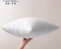 皮爾卡丹（pierrecardin） 抱枕芯內(nèi)膽內(nèi)芯靠墊芯正方形抱枕心沙發(fā)客廳靠背靠枕芯45x45cm 曬單實拍圖