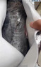 貝鮮貓加拿大進(jìn)口波士頓龍蝦冰鮮冷凍特大波龍大蝦生鮮水產(chǎn)蝦類(lèi) 鮮凍波龍【凈重0.9-1.1斤/只】 曬單實(shí)拍圖