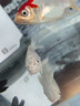 錦鯉魚活體觀賞魚活魚小型易養(yǎng)冷水淡水魚小魚苗錦鯉金魚好看錦鯉 10-12cm 六色錦鯉套餐6條 曬單實(shí)拍圖
