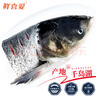 鮮喜愛 冷凍千島湖有機鰱魚頭1.5斤 白鰱魚頭  生鮮魚類 海鮮水產(chǎn) 曬單實拍圖
