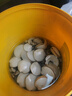 YogelTackle女士下水褲趕海裝備大人防水衣下半身涉水服水褲水鞋連體全身雨褲 曬單實(shí)拍圖