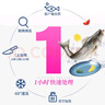 品珍鮮活年貨三去海鱸魚(yú)凈重400-450g（去鱗去鰓去內(nèi)臟）生鮮魚(yú)類(lèi) 400-450g*3條裝 曬單實(shí)拍圖