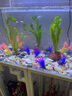 派樂(lè)特魚缸底砂造景石頭子五彩石溪流石水族箱龜缸多肉裝飾彩色雨花鵝卵 曬單實(shí)拍圖