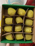 佳沛（zespri）綠奇異果 優(yōu)選大果12粒單果約113-135g  水果禮盒 獼猴桃 曬單實拍圖