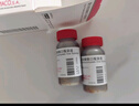 【原研進(jìn)口】菲普利 蛋白琥珀酸鐵口服溶液 15ml:40mg*10支/盒 曬單實(shí)拍圖