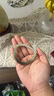 VAUBEL七夕節(jié)禮物天然和田玉手串女碧玉漸變手鏈玉石素圈手鐲畢業(yè)禮物 7*8mm和田玉漸變直切串一物一證 曬單實拍圖