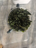 霜后桑葉茶500克桑樹(shù)葉桑葚霜桑葉新鮮無(wú)中藥材桑葉干官方旗艦店 桑葉茶【5罐】共1250克 優(yōu)質(zhì)無(wú)硫 曬單實(shí)拍圖