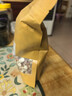 正宗肇慶芡實新鮮雞頭米茨實肇實茯苓新貨自產(chǎn)芡實500g干貨四神湯 大顆粒對掰開易煮【500克】 曬單實拍圖
