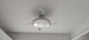 雷士（NVC）風(fēng)扇燈餐廳吊扇燈led臥室北歐客廳燈三防 全光譜護(hù)眼 枕邊風(fēng) 【全光譜/1級能效】42寸93瓦云逸 曬單實拍圖