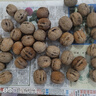 鮮級佳大涼山新鮮濕核桃去青皮嫩核桃老樹薄紙皮核桃孕婦專用生核桃新貨 凈重5斤【去青皮】送夾子 曬單實(shí)拍圖