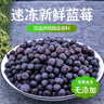 喜德農冷凍新鮮藍莓 1kg*1袋 速凍水果果汁飲品果醬拌酸奶烘焙原料順豐 冷凍藍莓1kg*1袋 曬單實(shí)拍圖