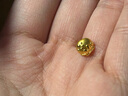 潮宏基足金黃金耳釘計(jì)價(jià) 蜜糖蜜蜂 EEG30002836 單只款約0.6g 曬單實(shí)拍圖
