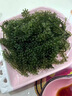 OEING海葡萄鹽漬海葡萄新鮮活即食長(cháng)壽菜海藻菜海菜壽司食用植物魚(yú)子醬 海葡萄100g*3包 配蘸料 曬單實(shí)拍圖