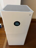 米家小米空氣凈化器4lite 除甲醛除菌除異味 空氣伴侶 除PM2.5 AC-M17-SC 曬單實拍圖