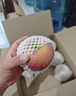 煙臺蘋果水果棲霞紅富士新鮮生鮮果山東特產(chǎn)脆甜 精品果 凈重4.5斤（果徑75mm以上） 曬單實拍圖