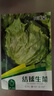 花沃里結(jié)球生菜種子10g/包 蔬菜種子四季綠葉菜陽(yáng)臺(tái)盆栽庭院田間種 曬單實(shí)拍圖